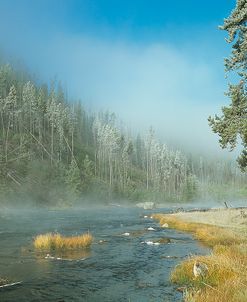 Yellowstone 01