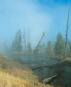 Yellowstone 06