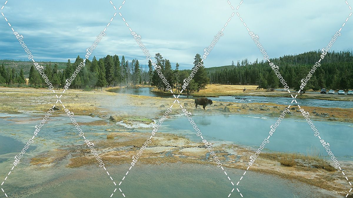 Yellowstone 03