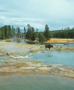 Yellowstone 03