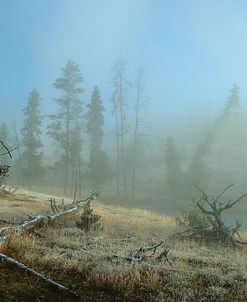 Yellowstone 04