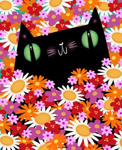 Black Cat Flowers