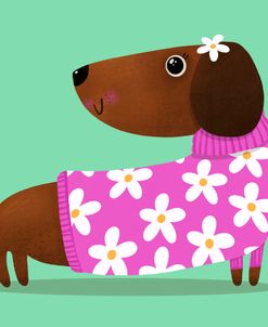 Dachshund Flower Sweater