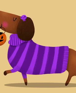 Dachshund Trick or Treating
