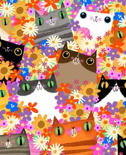 12 Cats Flowers