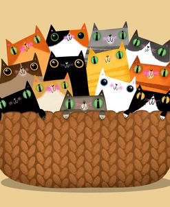 Basket Kittens 2
