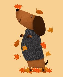Dachshund Dog Autumn Leaves
