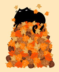 One Black Cat Fall Season