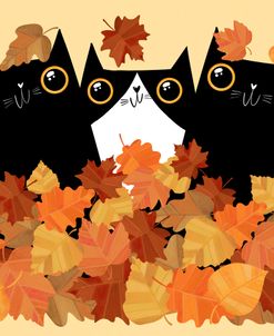 Black And White Tuxedo Cats Fall Season