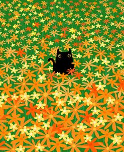 Black Cat In Orange Flower Field