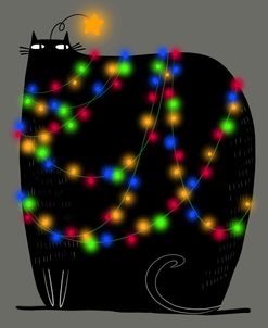 Black Cat Xmas Lights