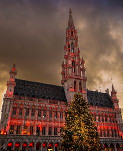 Christmas Tree in Grand’Place, Brussels