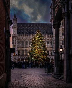 Christmas in Brussels