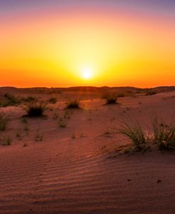 Dubai Desert Safari at sunrise