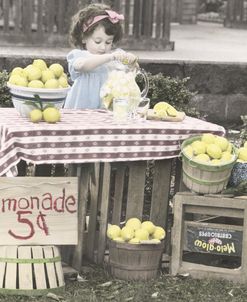Lemonade Stand