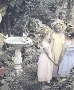 Three Faeries in Garden