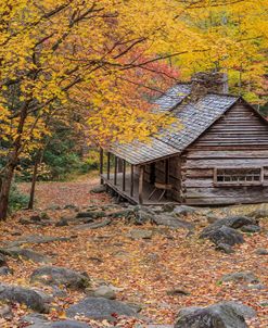 Bud Ogle Cabin