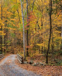 Greenbrier Bridge Path