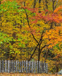 Fall Fence Scene