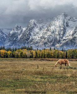 Fine Dining In The Tetons