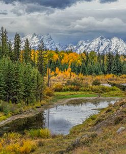 Gtnp Fall Color With Mountains