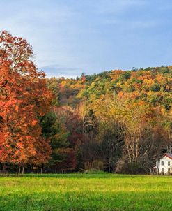 Little House In The Fall