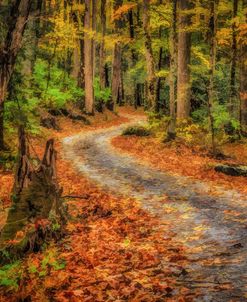 Path In Greenbrier Watercolor