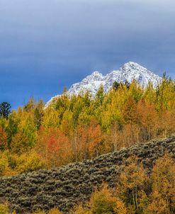 Mountain Fall Color