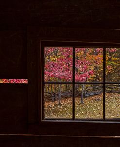 Roaring Fork Cabin Window