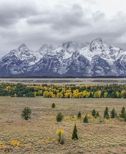 Teton Fall Colors