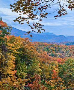 Window To The Smoky Mountains