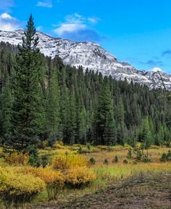 Yellowstone Sbc Landscape