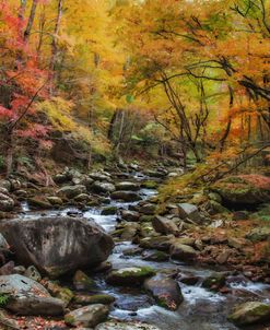 Tremont Stream Watercolor