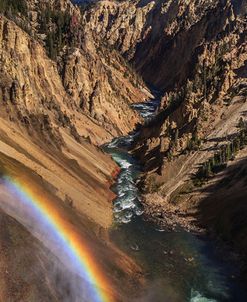 Brink of Lower Falls YNP