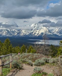 Jackson Lake Overlook GTNP