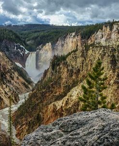 Lower Falls YNP Grand Canyon