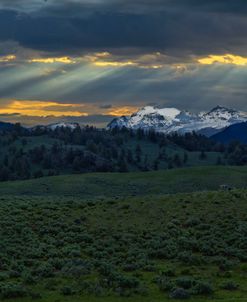 Lamar Valley Sunrise