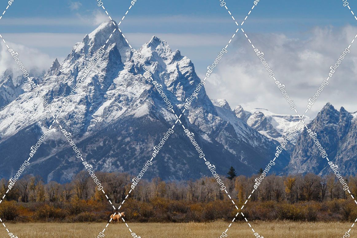 A Horse In Front Of The Grand Teton