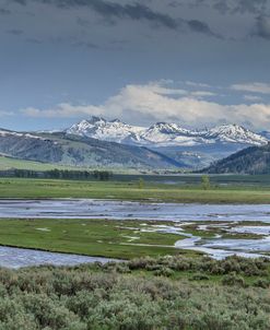 Lamar Valley (YNP)