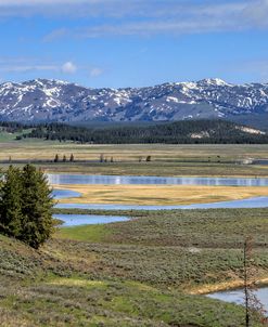 Hayden Valley (YNP)