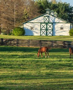 Horse Farm Landscape