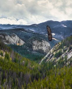 Mountains With Eagle