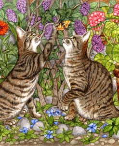 Twelve cats