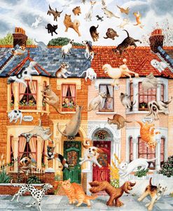 Raining Cats And Dogs