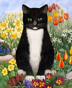 Black Cat With Daffodils And Crocuses