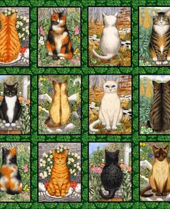 12 Cats Back And Front