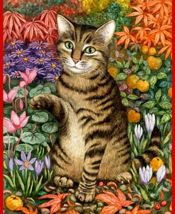 Autumn Tabby With Red Border