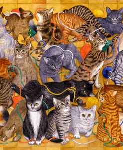 Cats With Wool