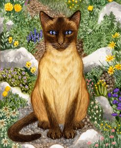 Siamese Cat In Rock Garden (Front)