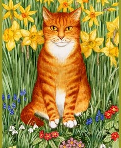Spring Ginger Cat With Green Border